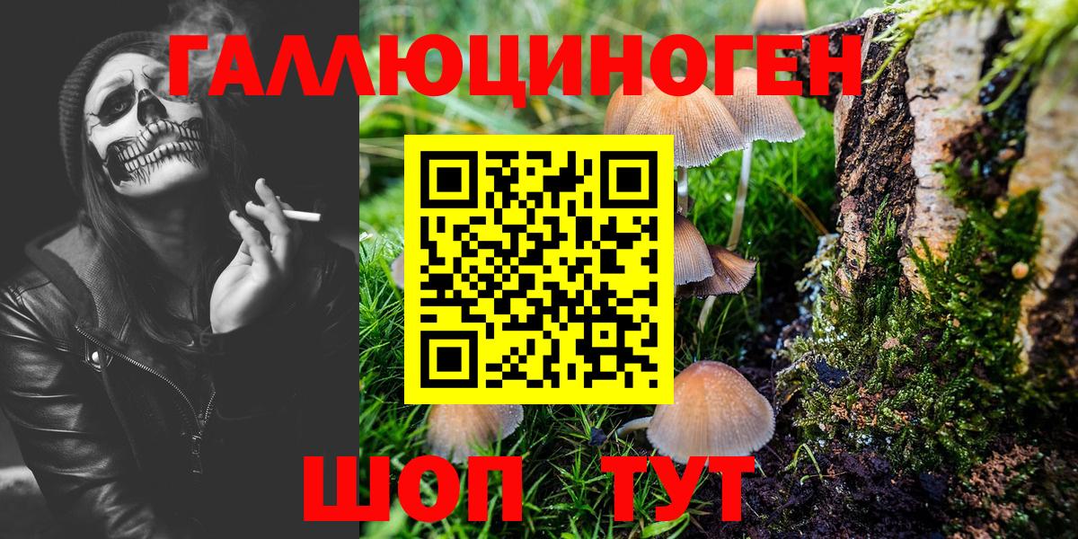Псилоцибиновые грибы Psilocybe Великий Устюг