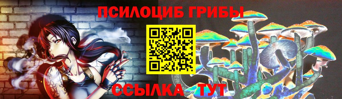 Великий Устюг  Псилоцибиновые грибы прущие грибы  Вход с VPN 